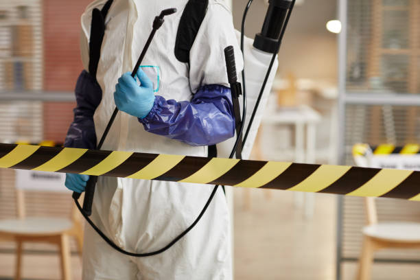 Professional Sewage Cleanup technician working in Rochester, NY